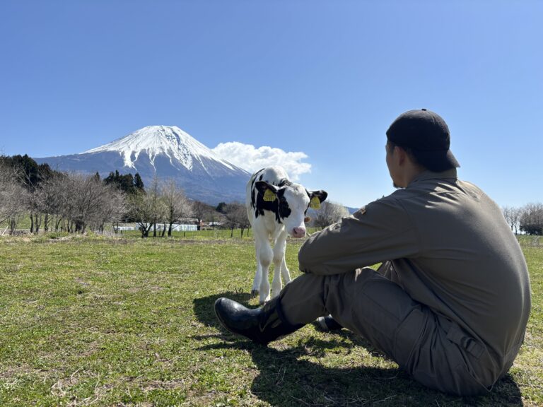 「いただきます」「ごちそうさま」